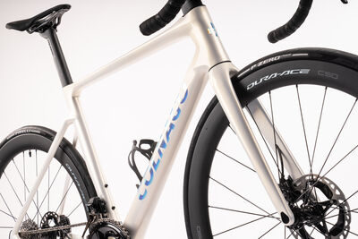 Colnago V4RS Disc 2024 Carbon Road Frameset White Pearl, Code: Rvwo click to zoom image