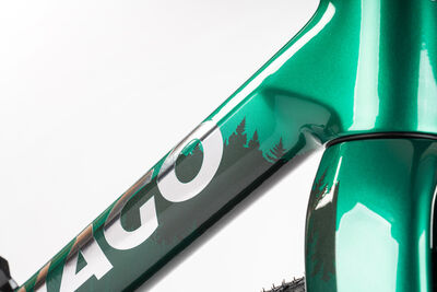 Colnago G4X 2x Carbon Gravel Complete Bike Shimano 820 2x12 Green, Code: Pigr click to zoom image