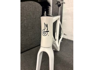 Campagnolo Super Record Demo Frameset click to zoom image