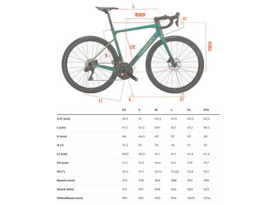Wilier Garda Road Frameset Black Grey click to zoom image