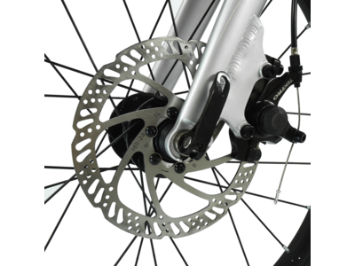 Hoy Pentland 20" Kids Bike click to zoom image