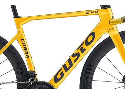 Gusto Cobra EVO Elite - Shimano 105 12 Speed XS, S, M, M/L, L, XL Team Gold  click to zoom image